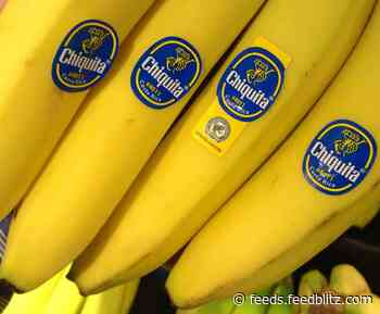 Long-Simmering Case Against Chiquita Nears Trial