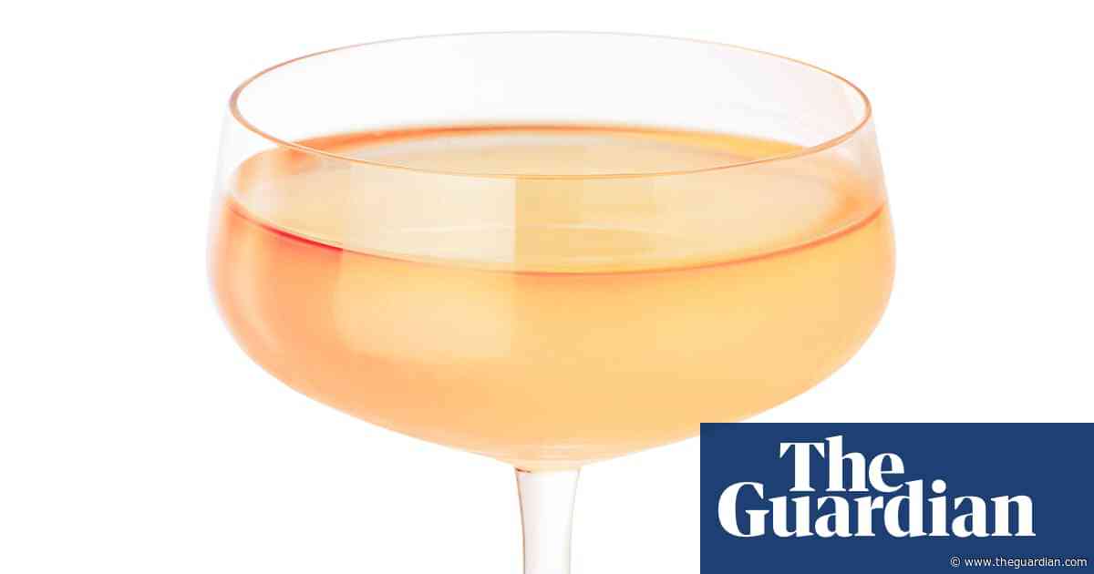 Cocktail of the week: Lulu’s rhubarb hanky panky – recipe | The good mixer