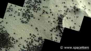 Satellites spot clusters of 'spiders' sprawled across Mars' Inca City (photo)