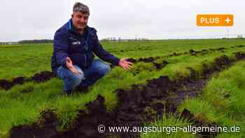 Donaumoos-Landwirt kann Flächen nicht befahren: Ist neues Stauwerk schuld?