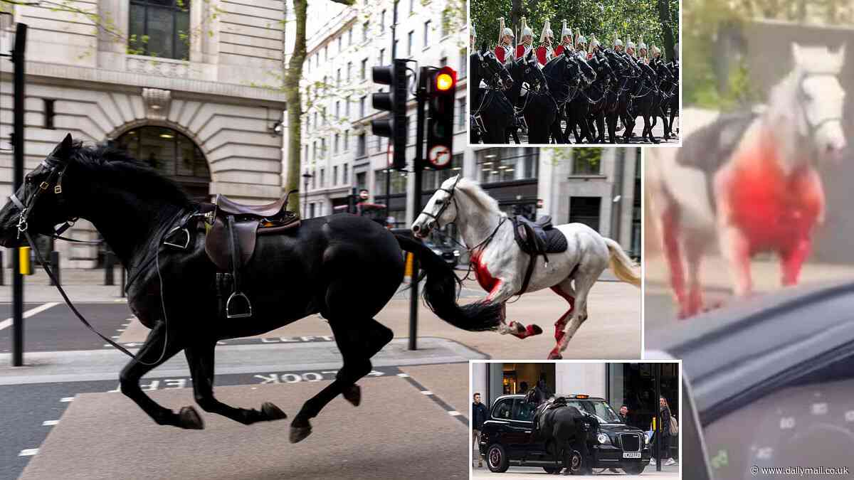 REVEALED: The full extraordinary story of the Household Cavalry horse rampage - and how the fallout has gone down like a lead balloon in the military and led to calls for the monarchy to be abolished