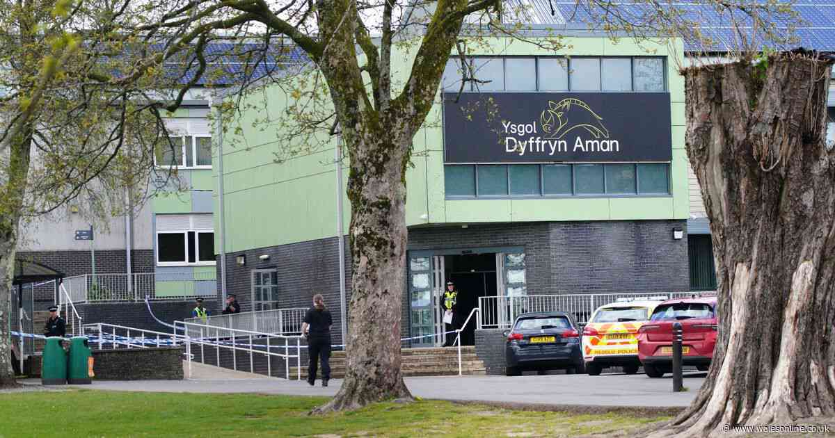 Police issue update after boy arrested in connection with Ammanford school 'threats'