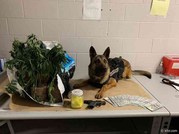 Cleveland County traffic stop leads to drugs, firearm