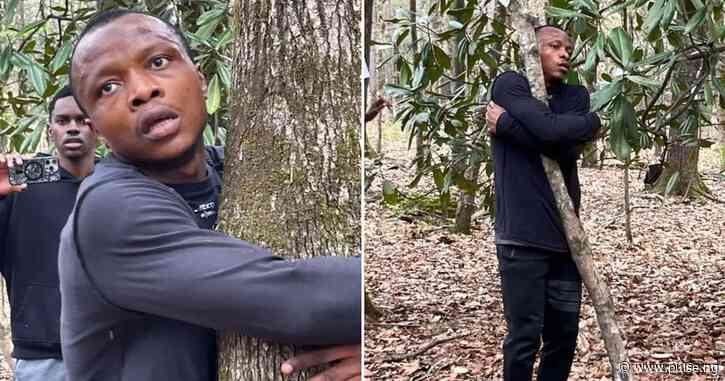 Ghanaian breaks world record for hugging over 1,000 trees in 1 hour