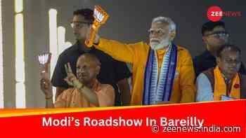 Lok Sabha Polls: Massive Crowd Greets PM Narendra Modi In Bareilly Roadshow