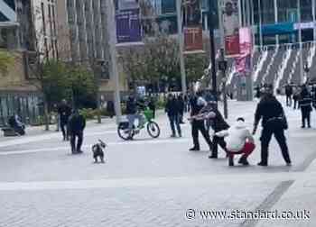 Shocking moment dog Tasered after biting police officer near Wembley Stadium
