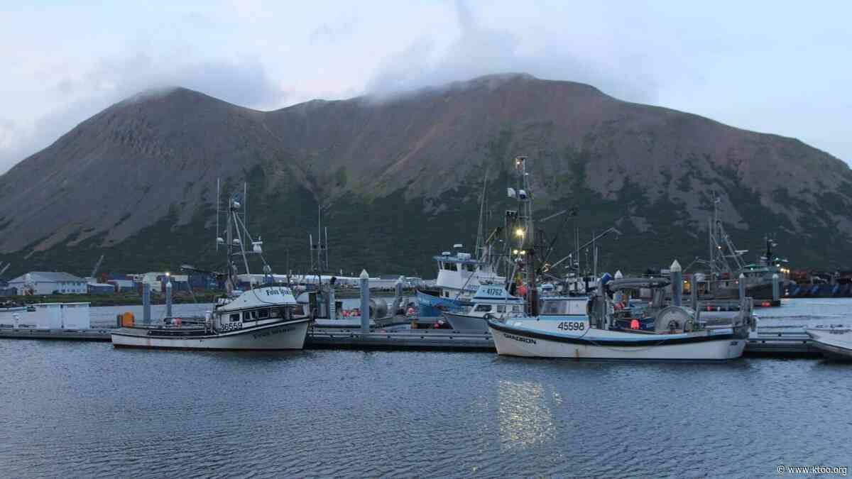 King Cove braces for salmon season with no seafood processor amid historic price slump