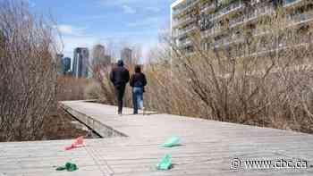 Bin there, dumped that: Trash cans to be reinstalled along Montreal's Lachine Canal