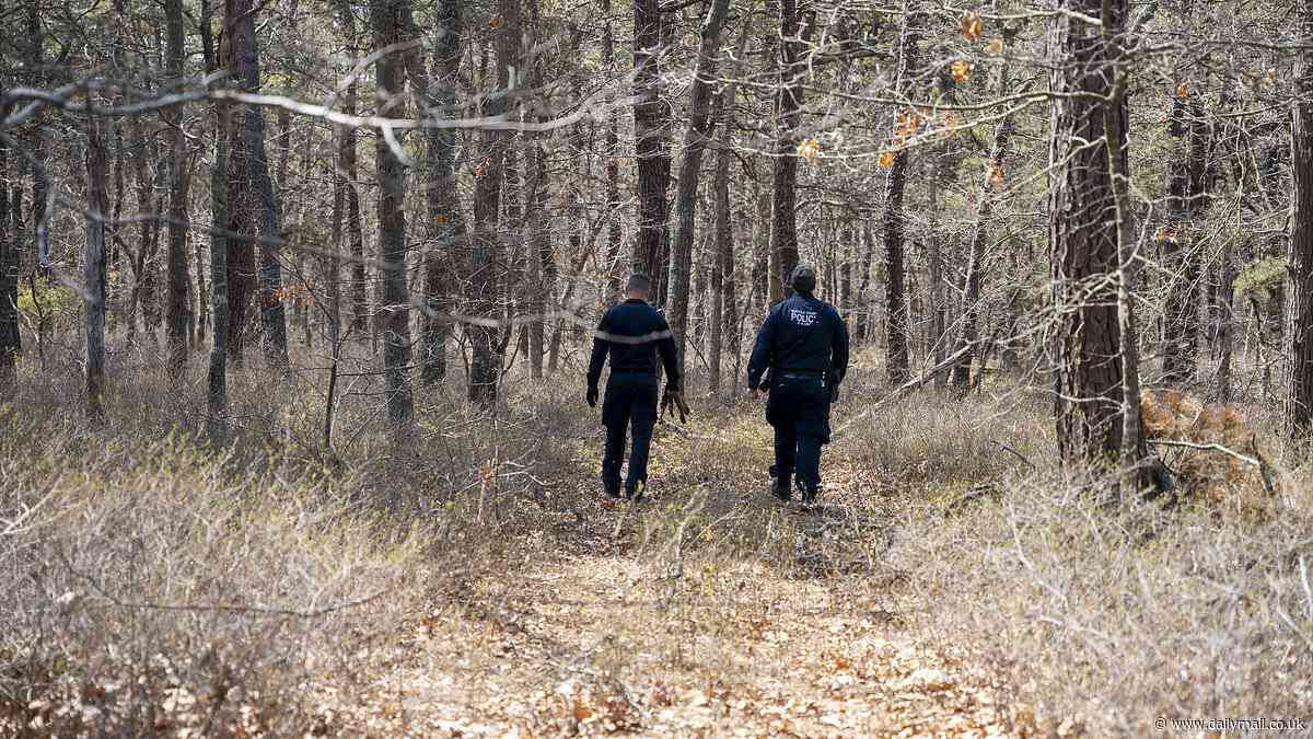 Gilgo Beach murder cops use K-9 dogs to hunt area where woman's body was found in 1993 - as chilling case takes another shocking turn