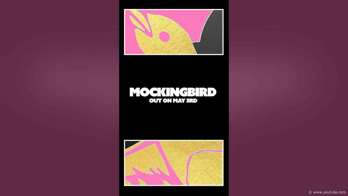 MOCKINGBIRD… 03/05/2024 #shorts #musicalfreedom