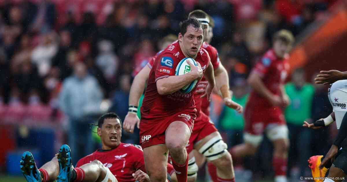 Much improved Scarlets fall just short against powerful Sharks