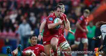 Much improved Scarlets fall just short against powerful Sharks