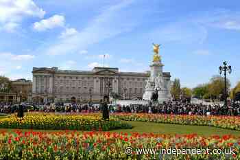 View of Buckingham Palace after announcement King Charles will return to public duties