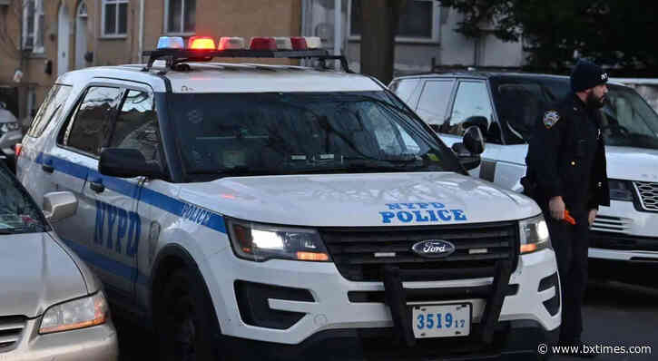 Bronx dog attack leaves man fatally mauled, cops shoot canine