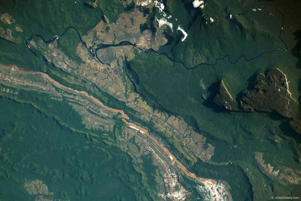 Ecological Islands: Exploring the Alien Worlds of Venezuela’s Sky-High Tepuis