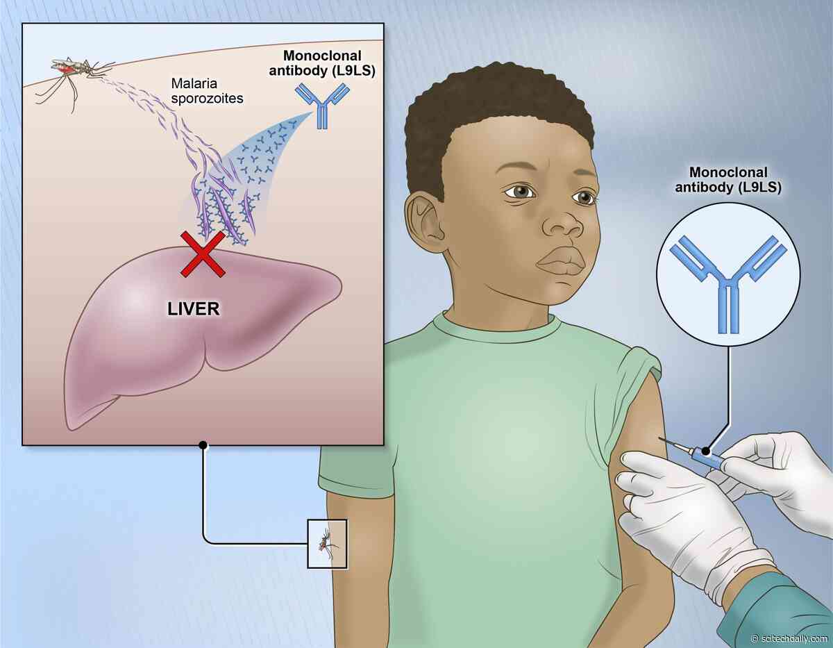 Experimental NIH Antibody Protects Children From Malaria in Clinical Trial