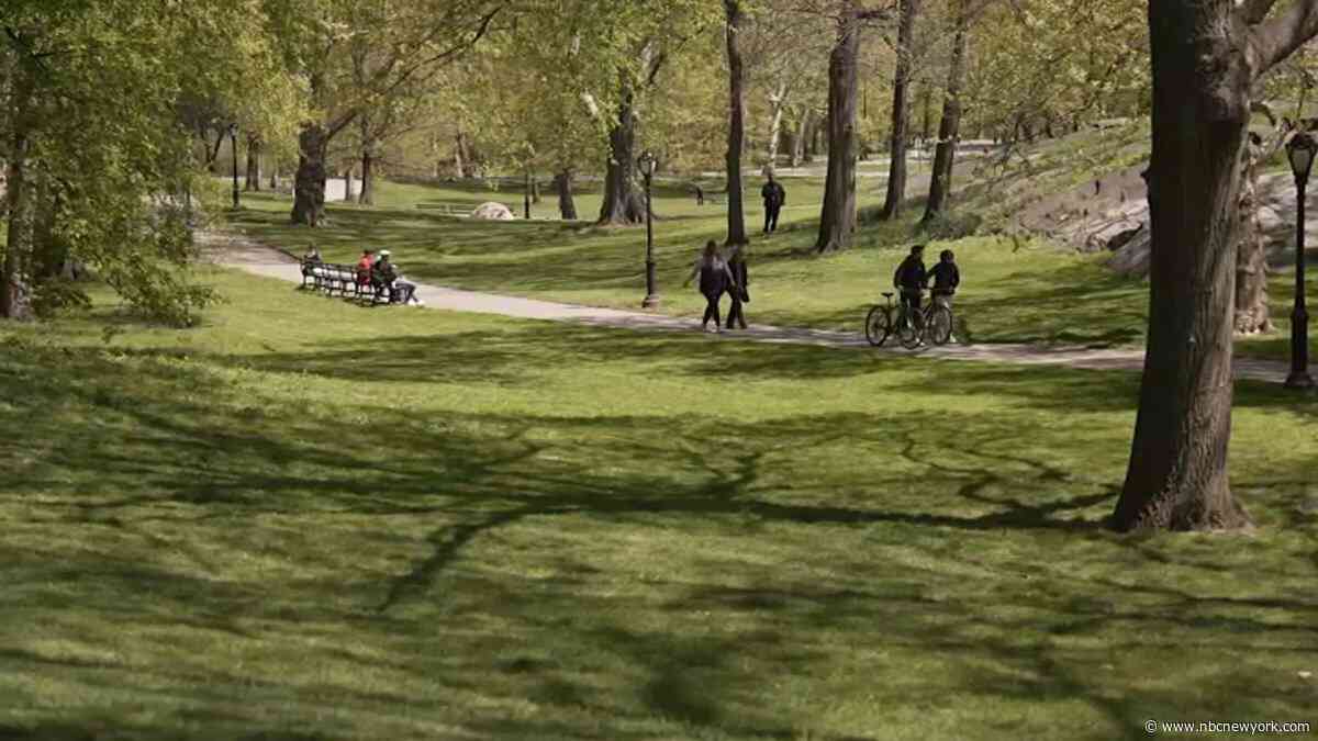 Two Central Park robberies in 12 hours highlight alarming crime spike at popular park