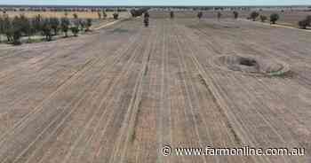 Glenara: 780 hectares all set for the 2024 winter cropping season