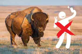 Hilarious Message from the 'National Park Service' Is Going Viral