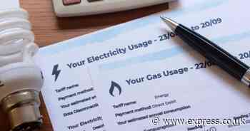 British Gas, Octopus, EDF and OVO customers warned to 'review' energy bills immediately