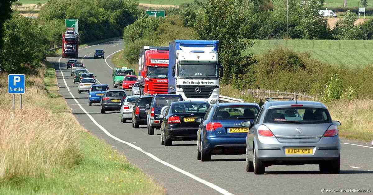 Environmental campaigners demand more answers on plans to dual A1 in Northumberland