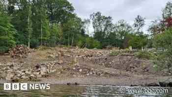 Order to plant 242 trees after lakeside felling