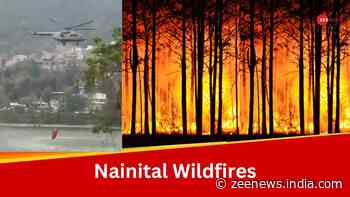 Indian Army, IAF Called In As Forestfire In Nainital Reaches High Court Colony