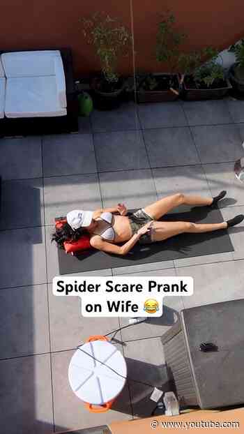 Spider Scare Prank on Wife 😂 #JoeySalads #Pranks #Shorts