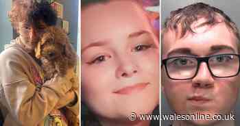 Fears grow for three missing teenagers who police believe are travelling together