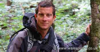 Bear Grylls explains what it's like living on his Welsh island and reveals Hollywood A-list guest