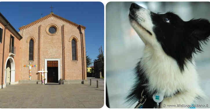 “Fuori i cani, i fattucchieri, gli immorali”, un sacerdote furioso caccia dalla chiesa un uomo con il suo cane