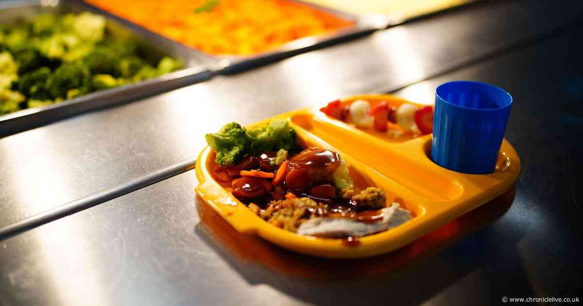 Check if your child can get free school meals - eligibility rules and how to apply