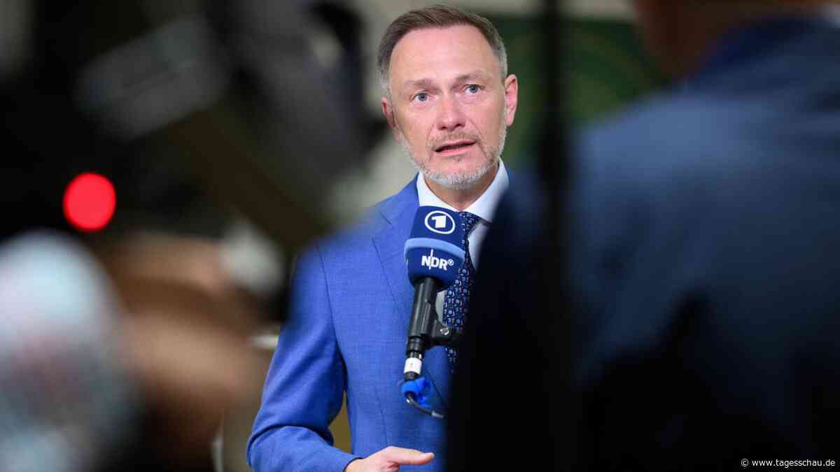FDP-Bundesparteitag: Welche Optionen die Partei hat