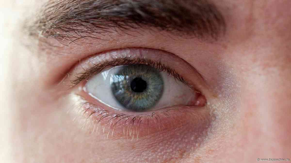 Warum Blinzeln Erholung für die Augen ist