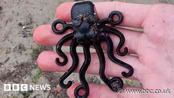 Rare Lego octopus found on beach after 27 years