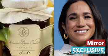 Meghan Markle yet to 'maintain customer interest' as issue with new brand unveiled - expert