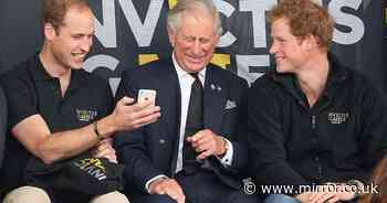 Reunion of Prince Harry and Prince William 'likely' and King Charles to 'play peacemaker'