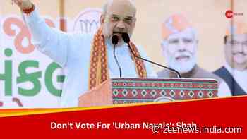 Congress, AAP Are Liars, Don`t Vote For `Urban Naxals`: Amit Shah In Bharuch Rally