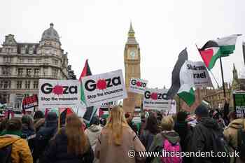 Thousands of pro-Palestine supporters march in London as Jewish campaign group cancels protest