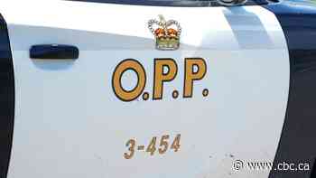 Mississauga man dead after road rage leads to multiple vehicle crash: OPP