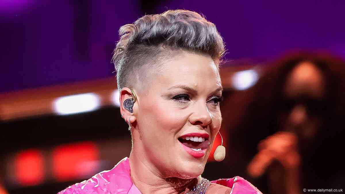 Townsville residents unveil unique tribute to Pink as Australia's love affair with the American pop star continues