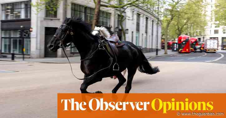 Did five frightened horses bolting through London really mean the end was neigh? | Michael Hogan