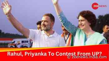 Rahul Gandhi From Amethi, Priyanka From Rae Bareli? Congress Proposes Names For Key Seats