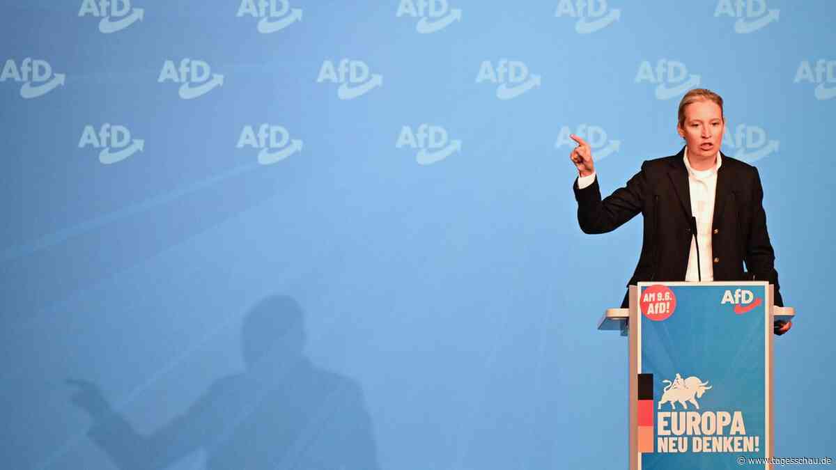 AfD-Wahlkampfauftakt ohne Krah: Der versteckte Spitzenkandidat