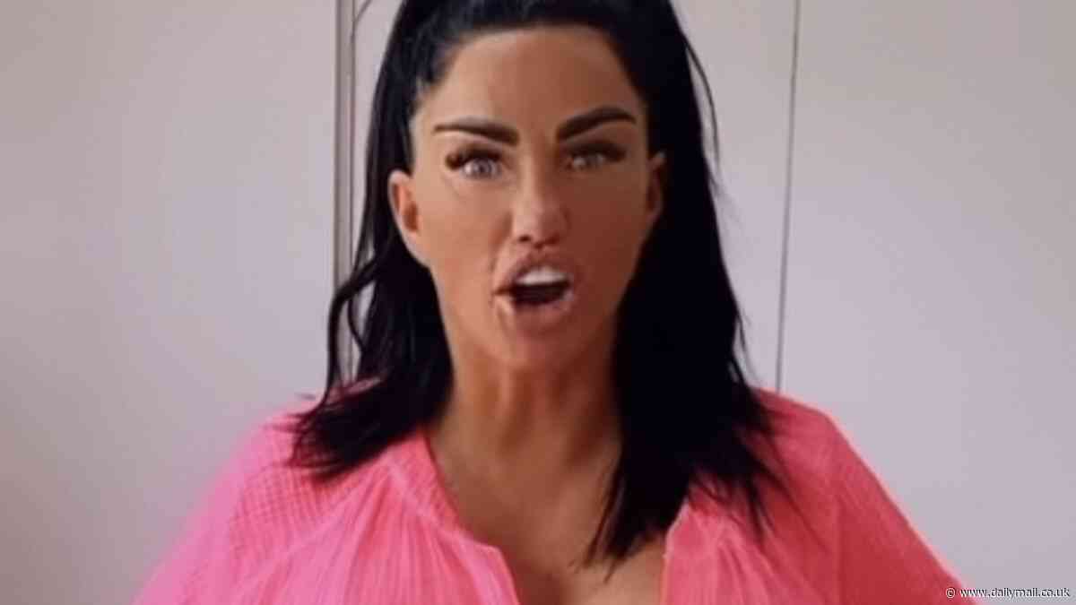 Katie Price 'tries to fool fans with pre-recorded social media videos as she jets off on holiday after failing to attend bankruptcy court hearing'