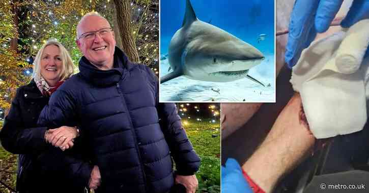 British tourist ‘stable’ after losing arm and a leg in shark attack