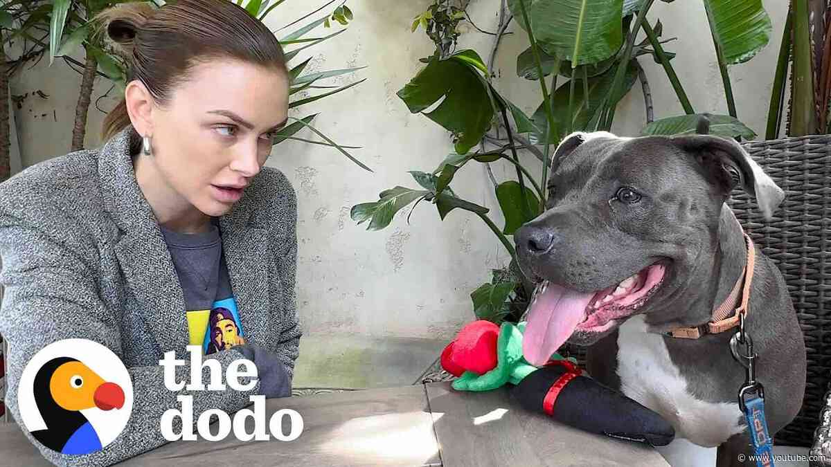 Lala Kent Goes on A Dodo Dream Date | The Dodo