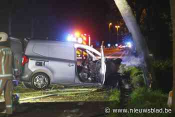 Bestelwagen botst tegen boom en vliegt in brand in Kortessem, chauffeur gewond