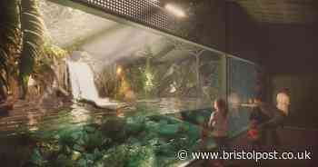 Update on new Bristol Zoo as construction of new enclosure set to commence