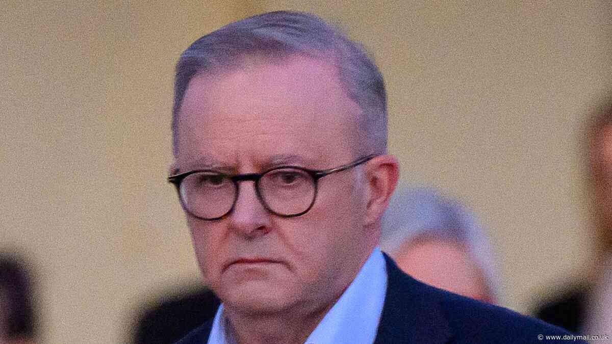 Bad news for Anthony Albanese: Support falls for the Prime Minister as one major issue turns Aussies away